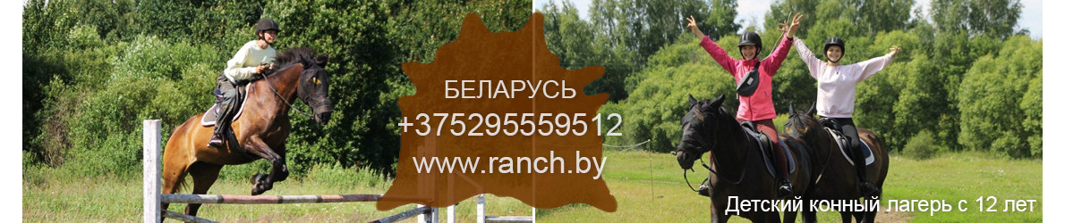 Летний конный лагерь в Беларуси