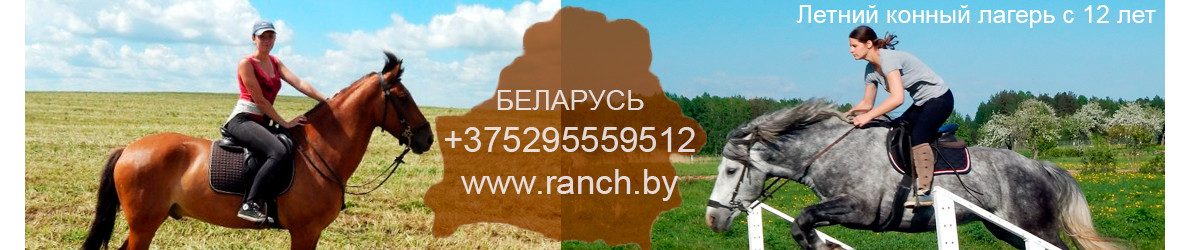Horse riding summer camp in Belarus